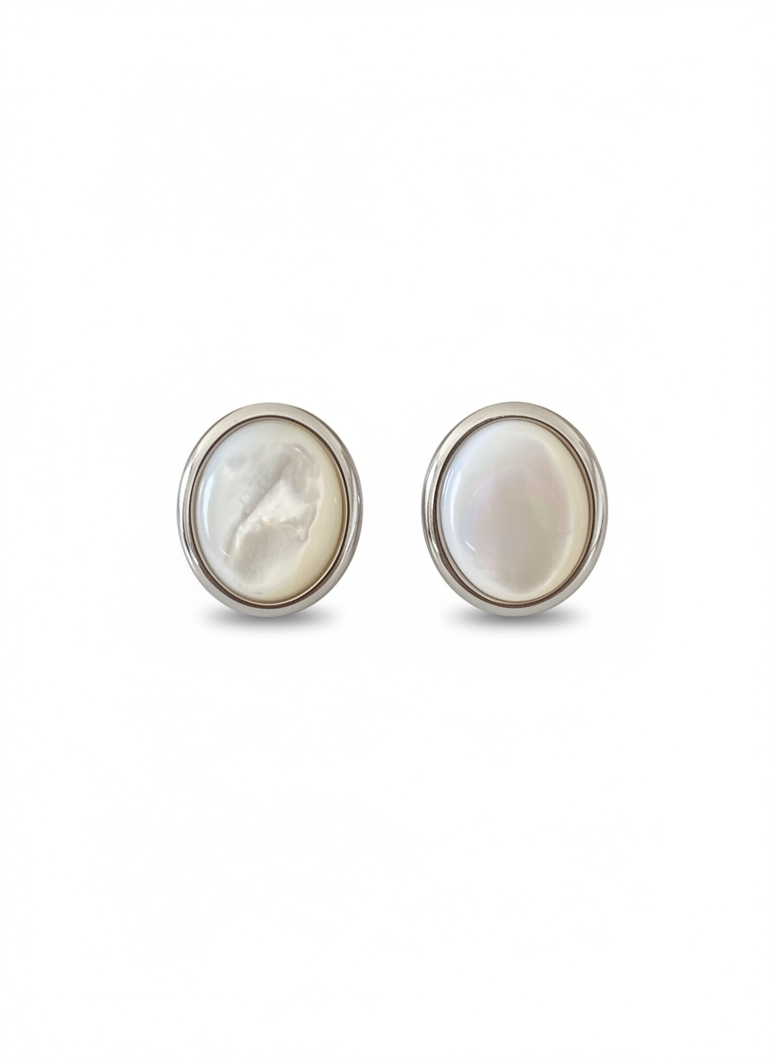tiger's eye Earrings and mother-of-pearl earring