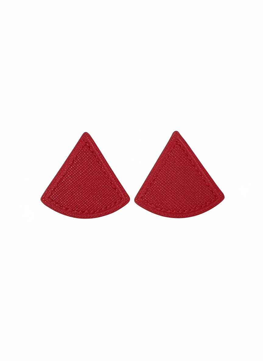 Colored cortical triangular  Earrings