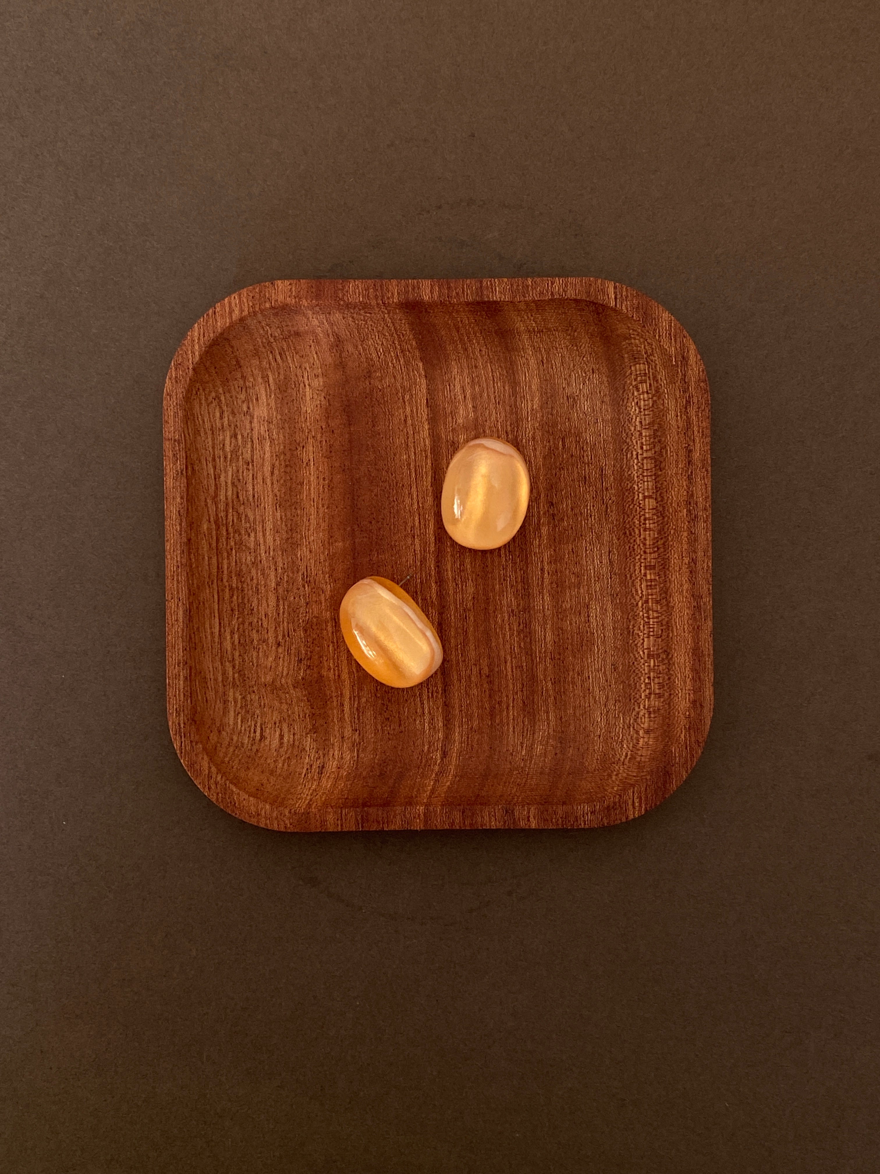 Colored resin Earrings