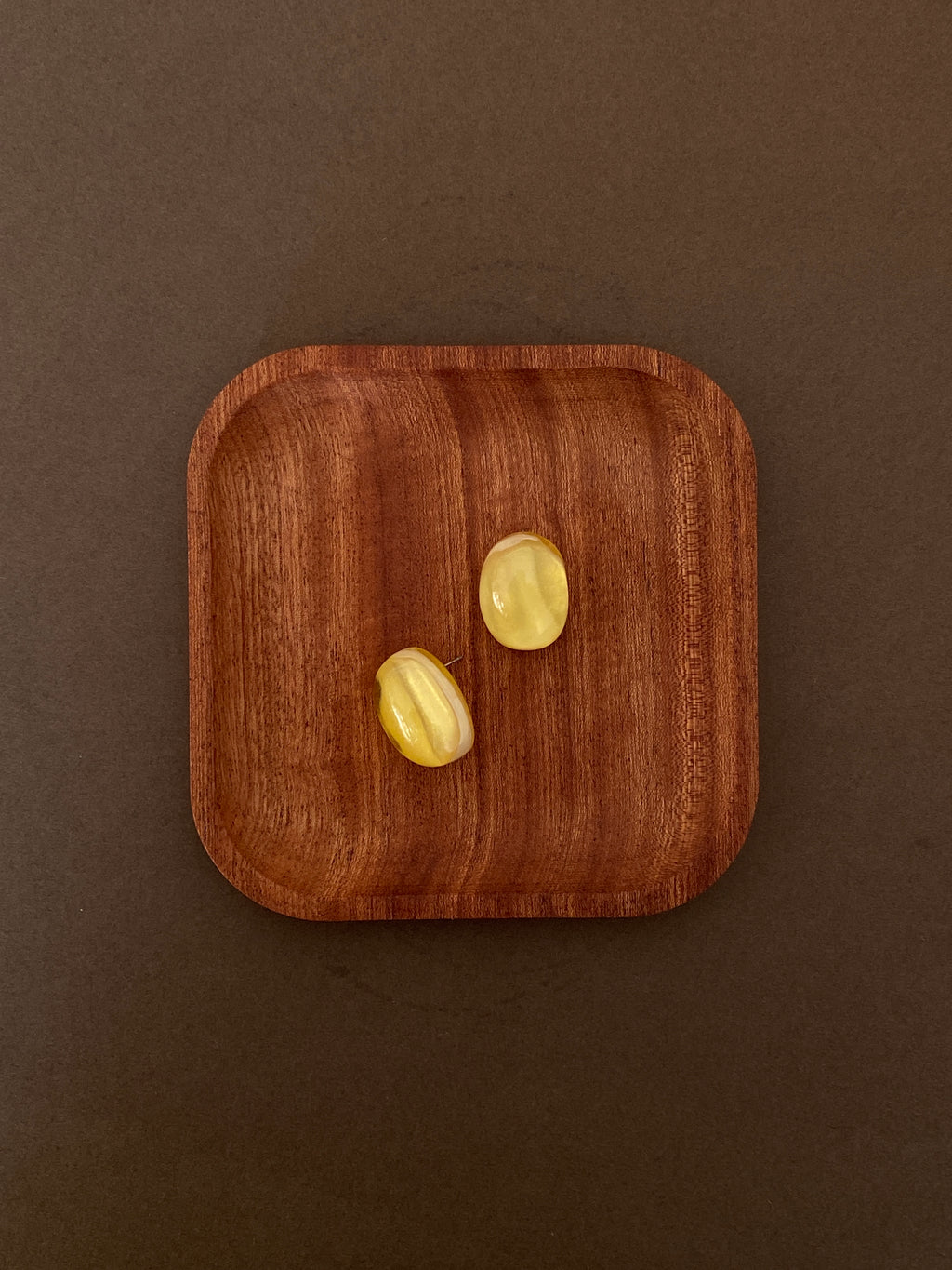 Colored resin Earrings