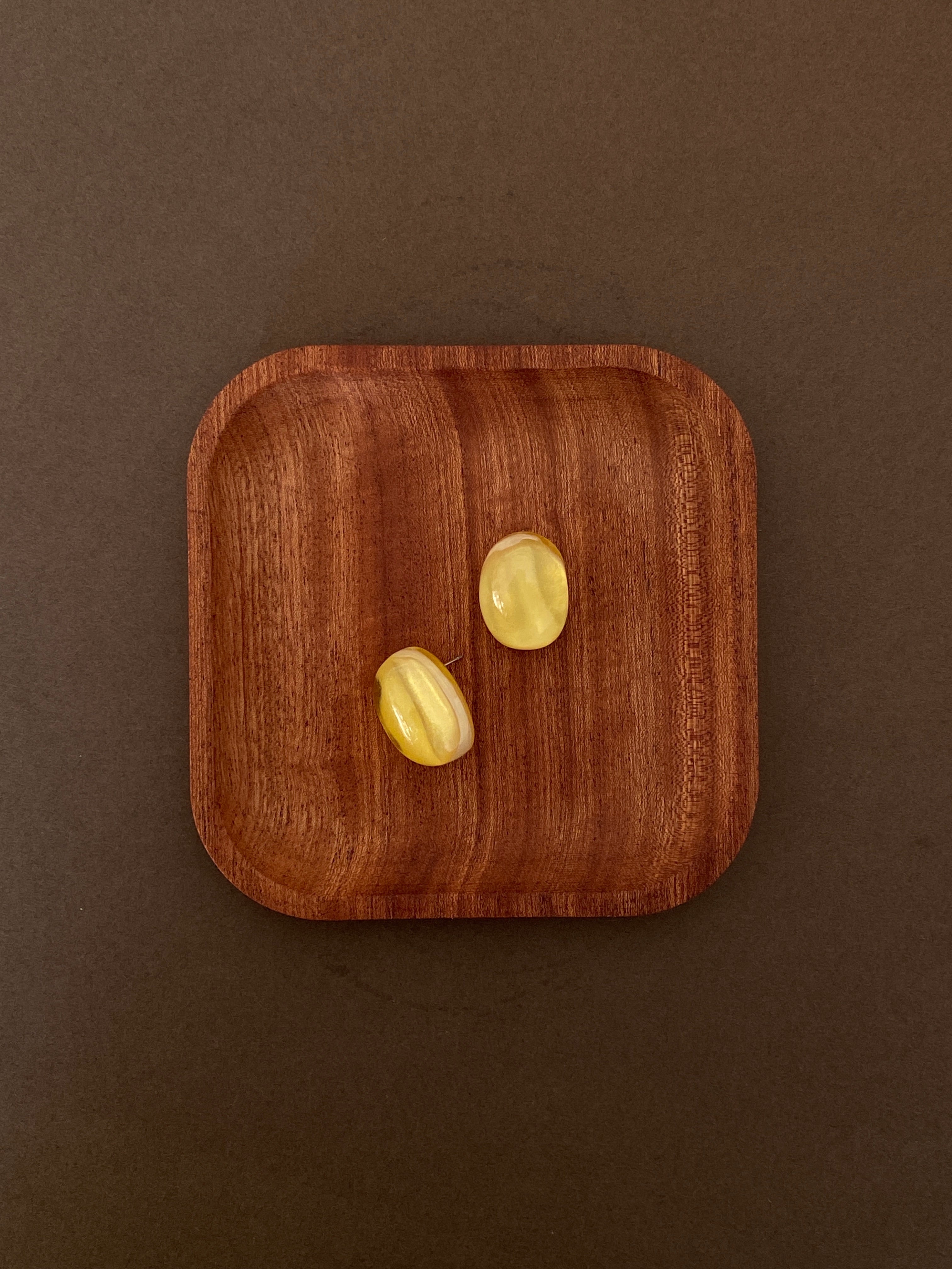 Colored resin Earrings