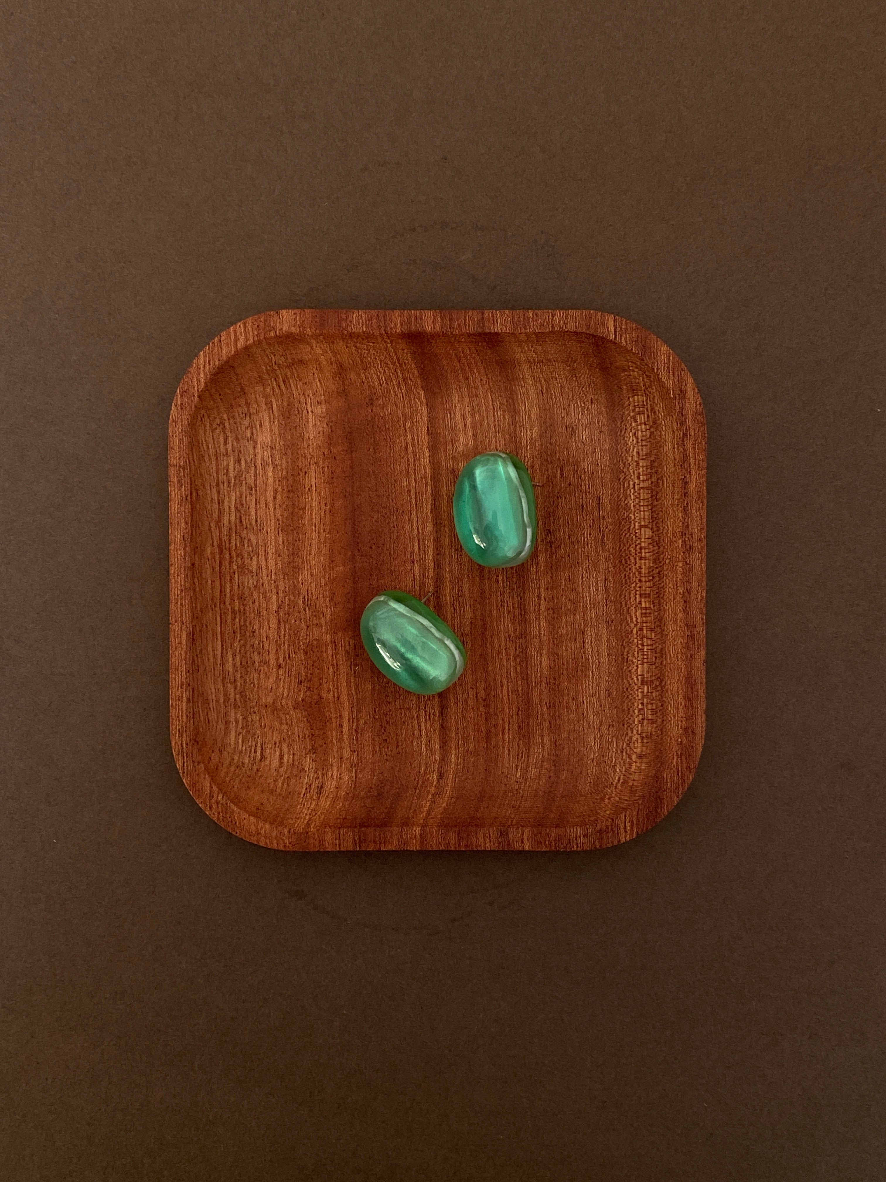 Colored resin Earrings