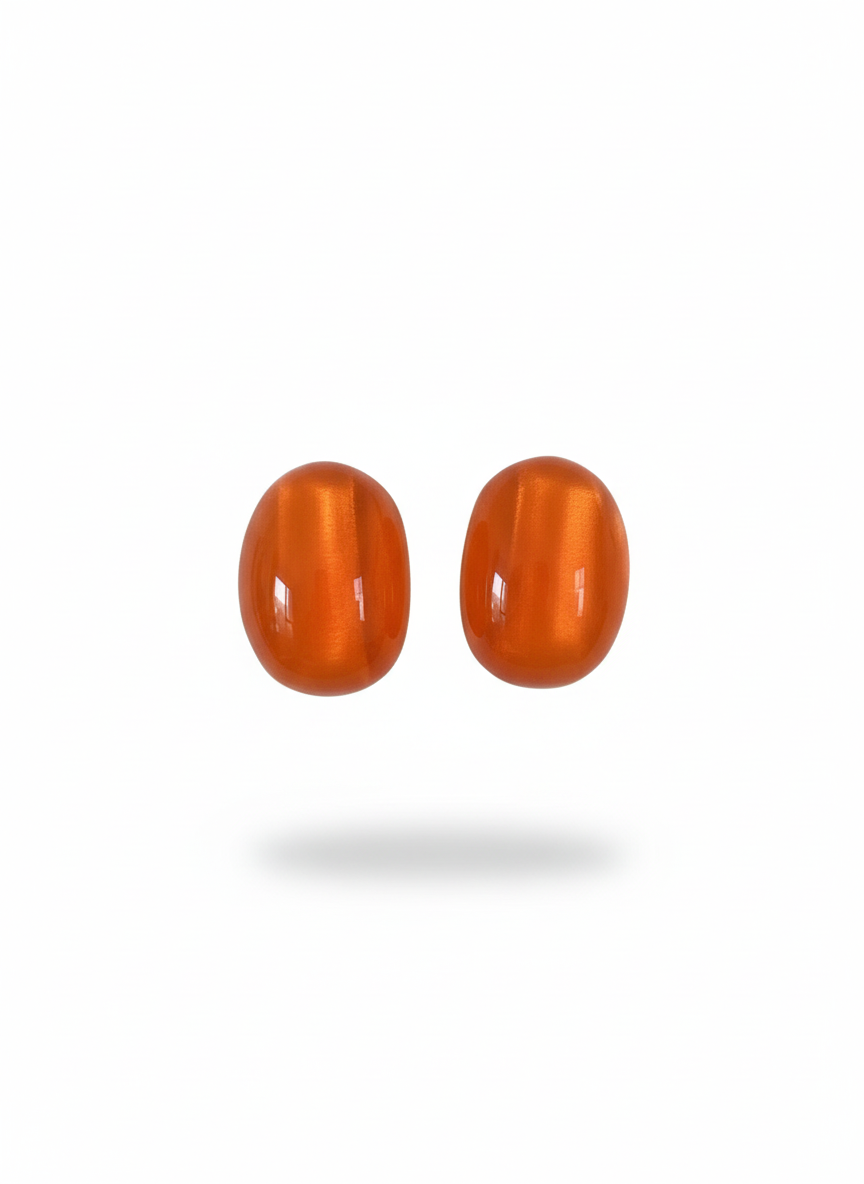 Colored resin Earrings